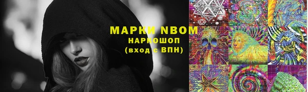 амф Дмитриев