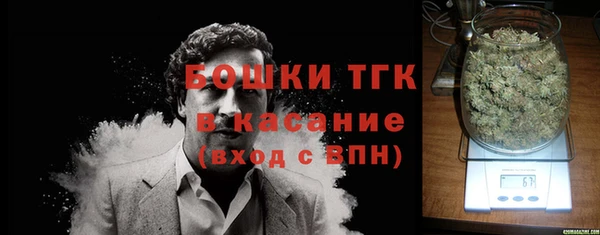 тгк Дмитровск