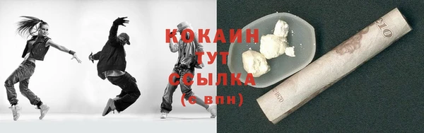амф Дмитриев
