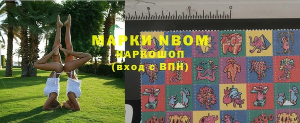 тгк Дмитровск