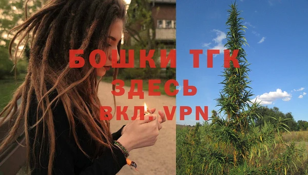 амф Дмитриев
